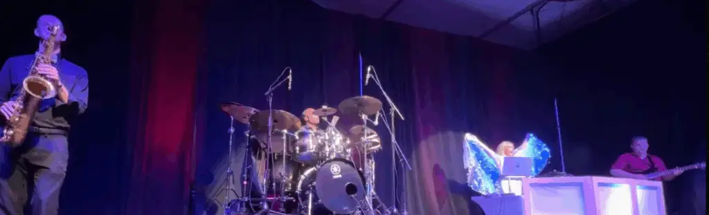 DeeJay Shelly is a DJ with Live Instruments performances her signature band is called The ElectriX